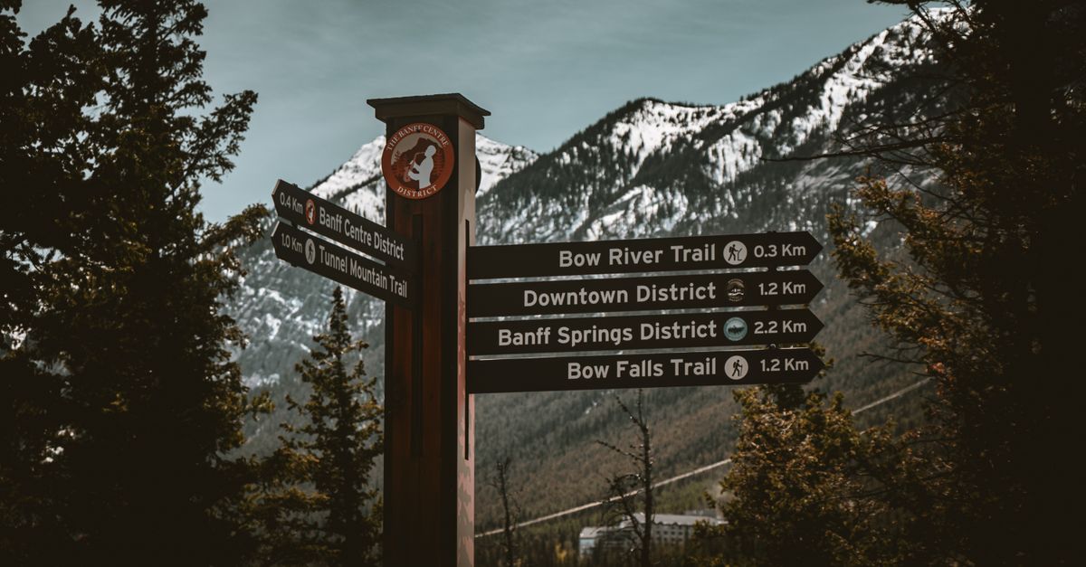 Tran Travels: service list